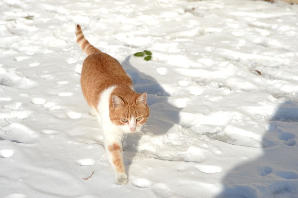 Photograph by Сергей Борисов