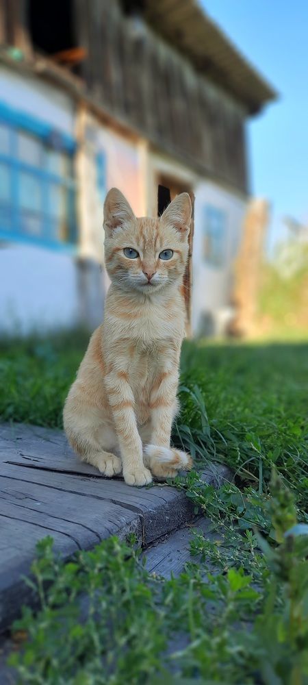 Photograph by Майя Витвицкая