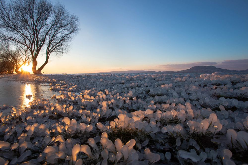 Photograph by Govinda thompson