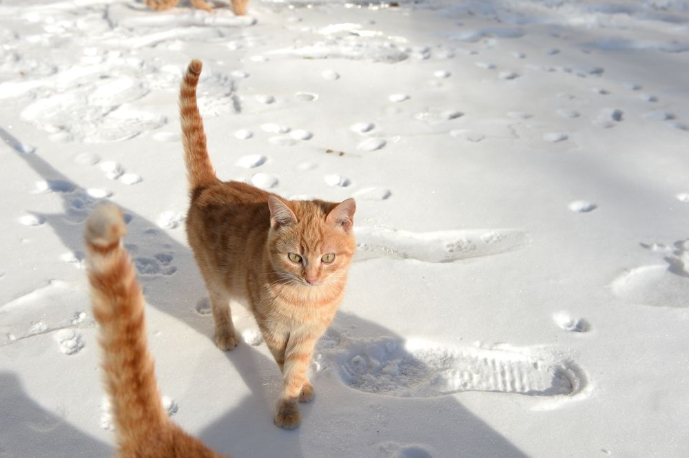 Photograph by Сергей Борисов