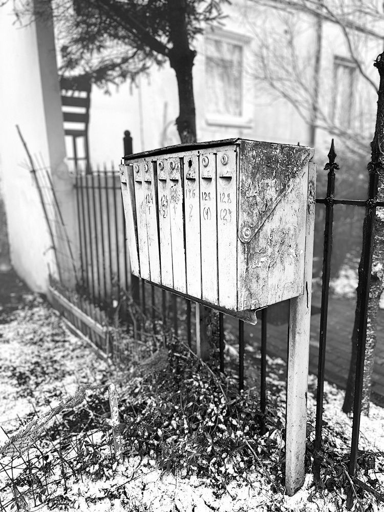 Photograph by Marina kosenko