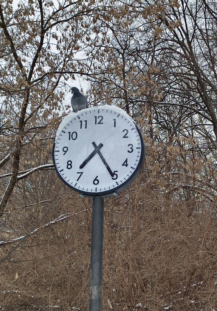 Photograph by Мария