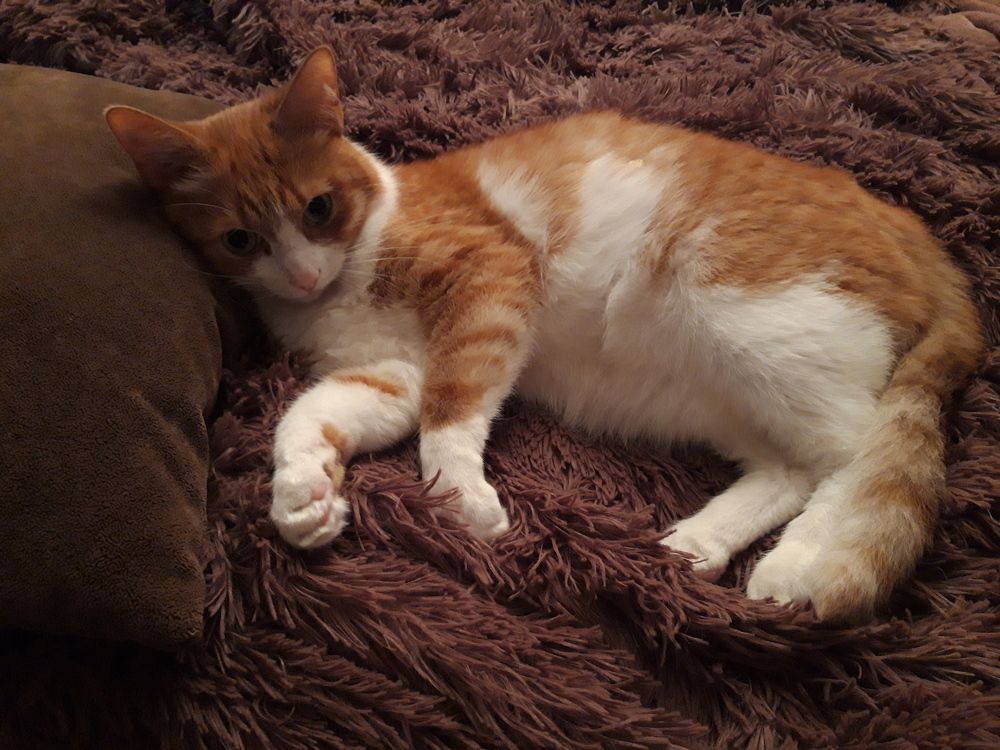 Фотография автора Виталий Дузь