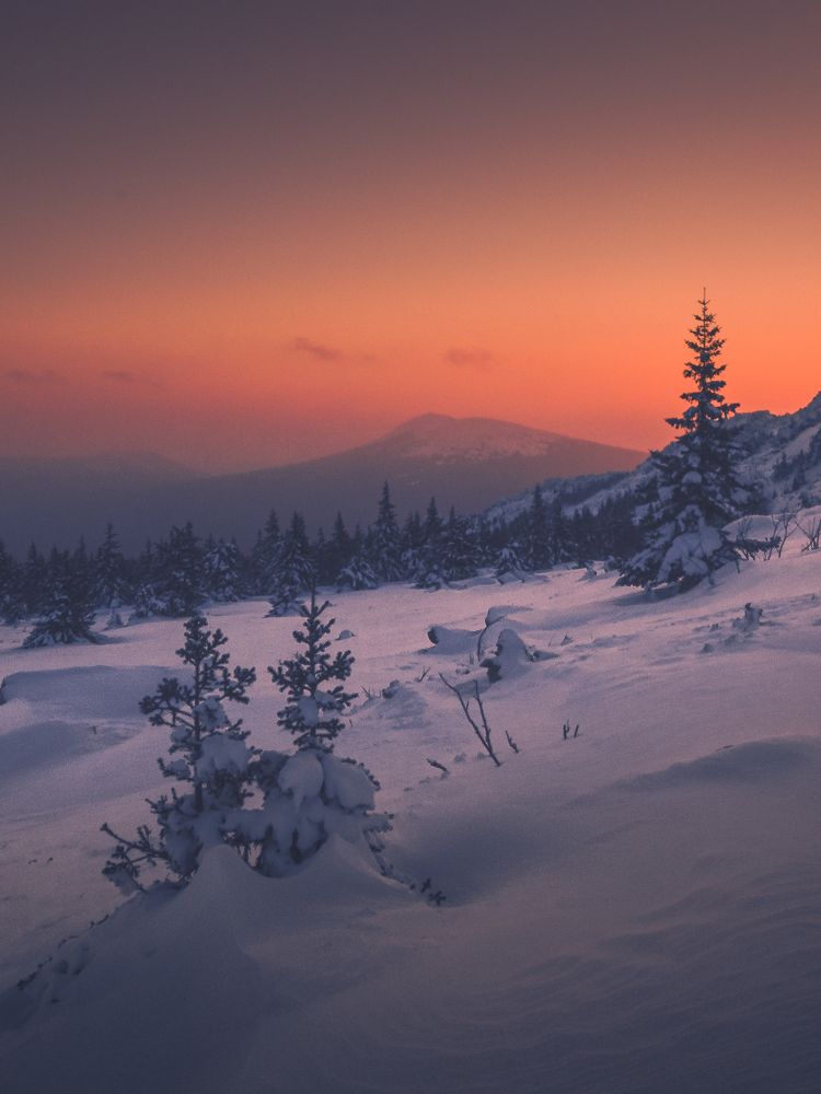 Photograph by Илья Толстоноженко