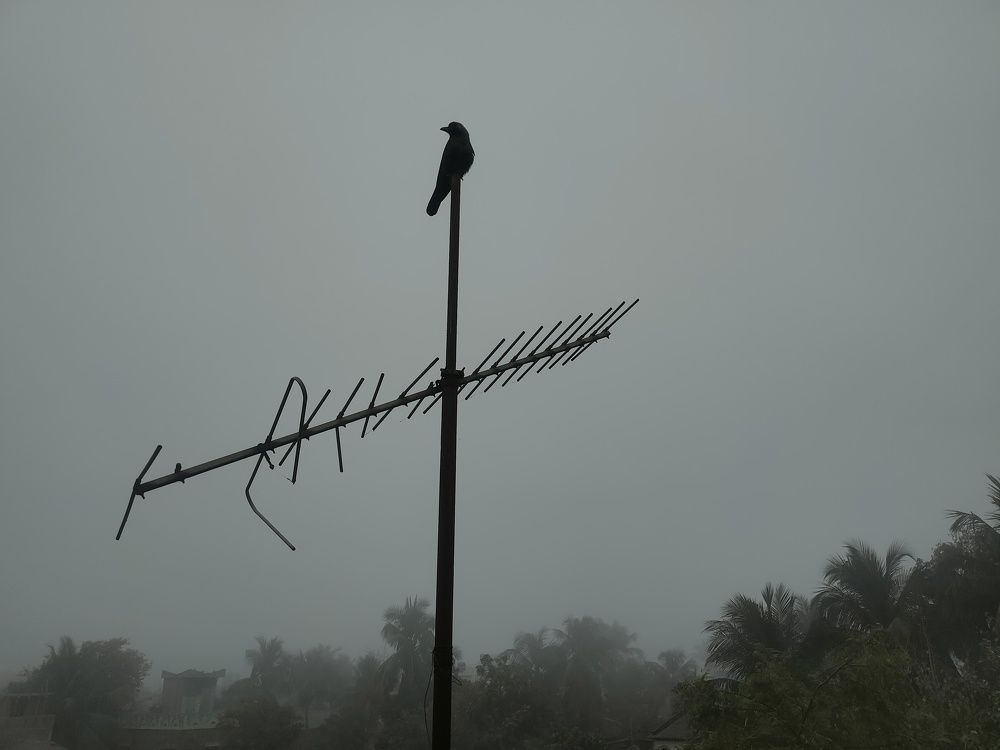 Photograph by Rounak hazra