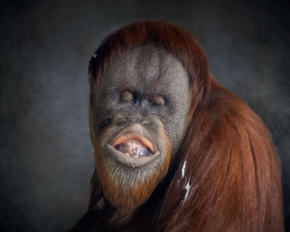 Photograph by Janet Williams