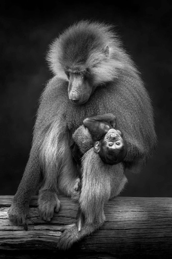 Photograph by Janet Williams