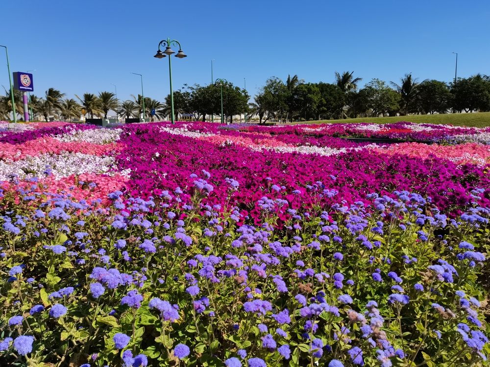 Photograph by REAHBELN ALZATE