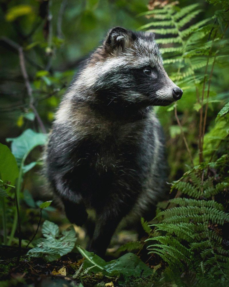 Photograph by Govinda thompson