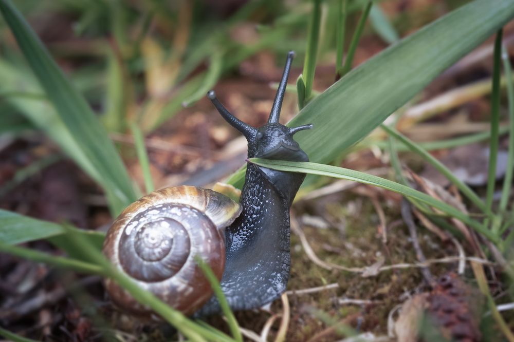 Photograph by Хилько Марина