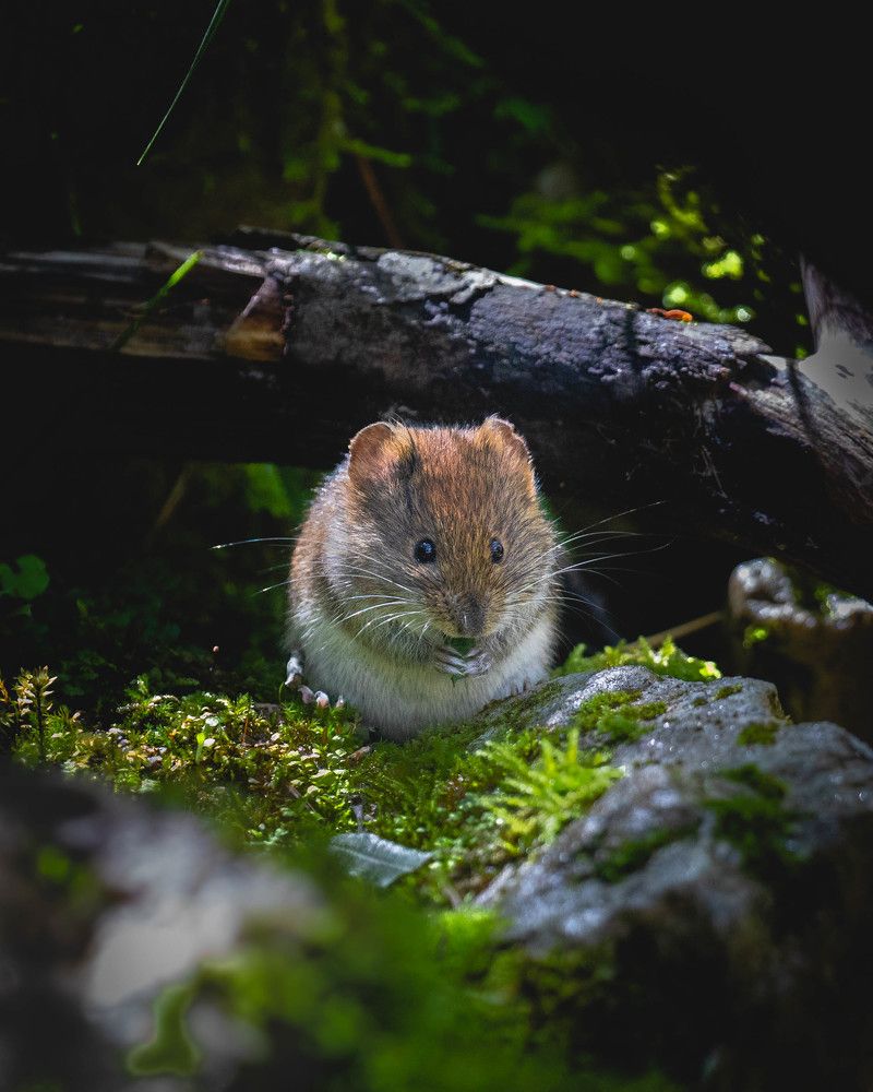 Photograph by Govinda thompson