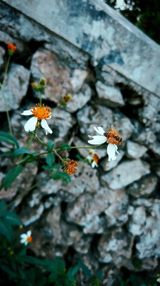 Photograph by Arelia Manderson