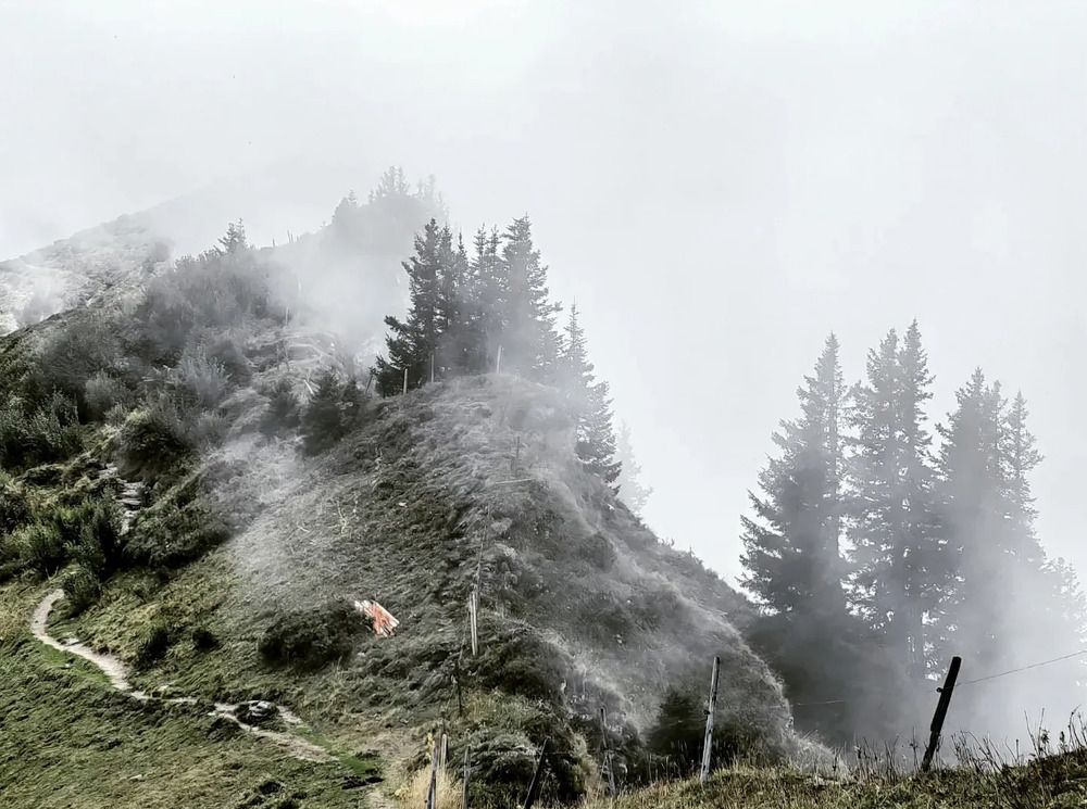 Photograph by Kristina Frizyuk