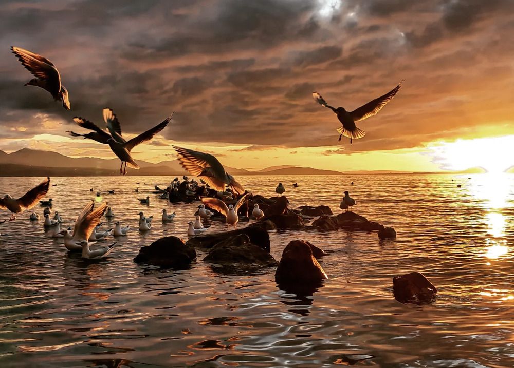 Photograph by Kristina Frizyuk