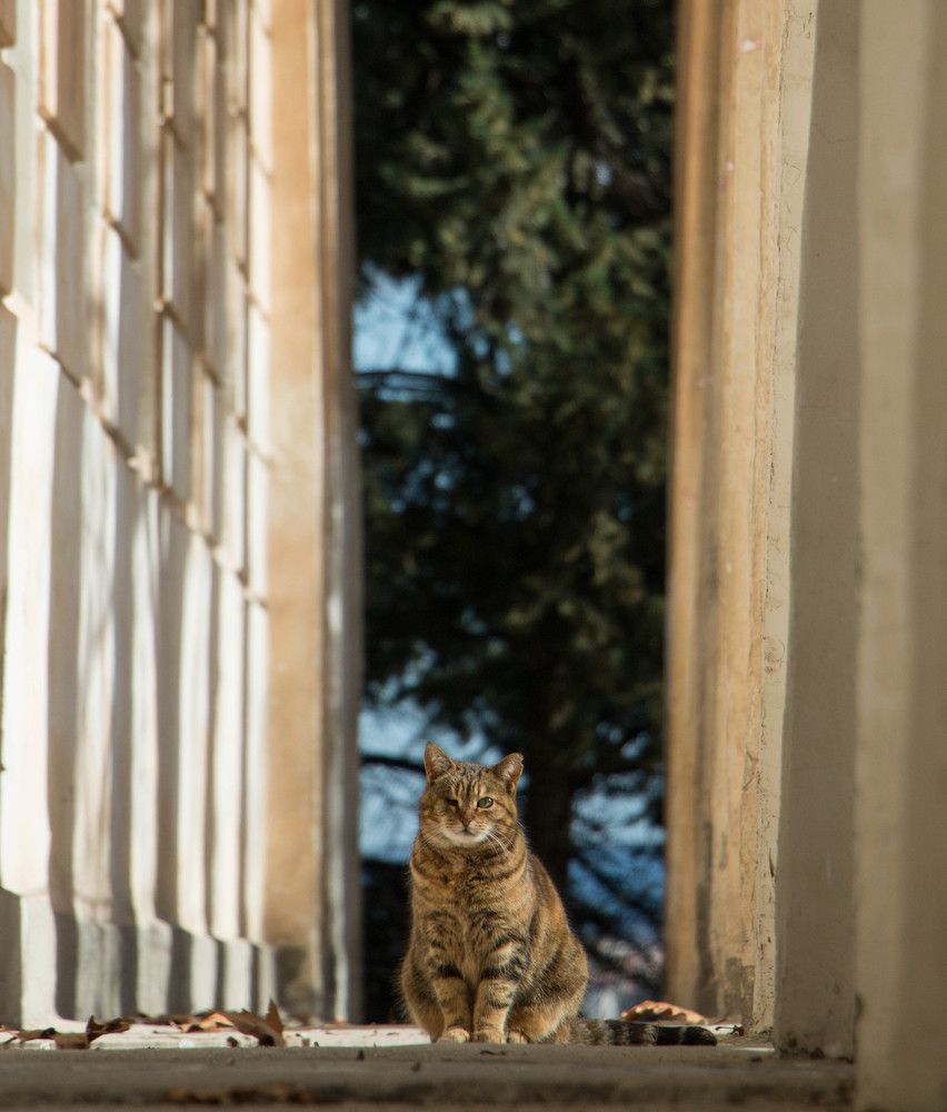 Photograph by Мария Мостипака