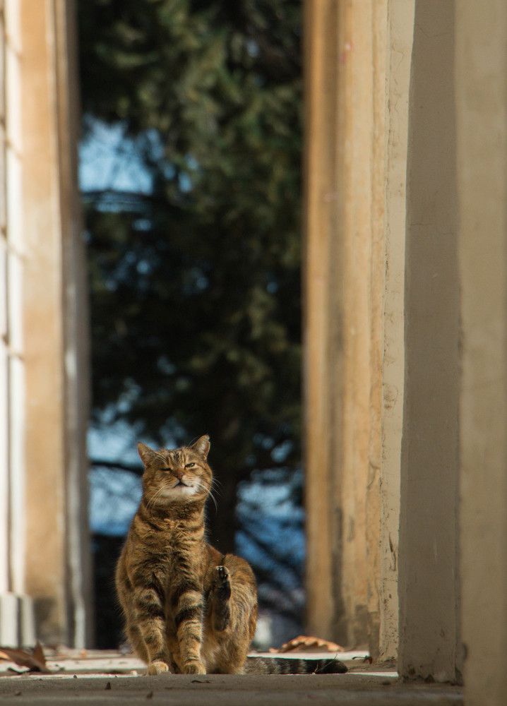 Photograph by Мария Мостипака