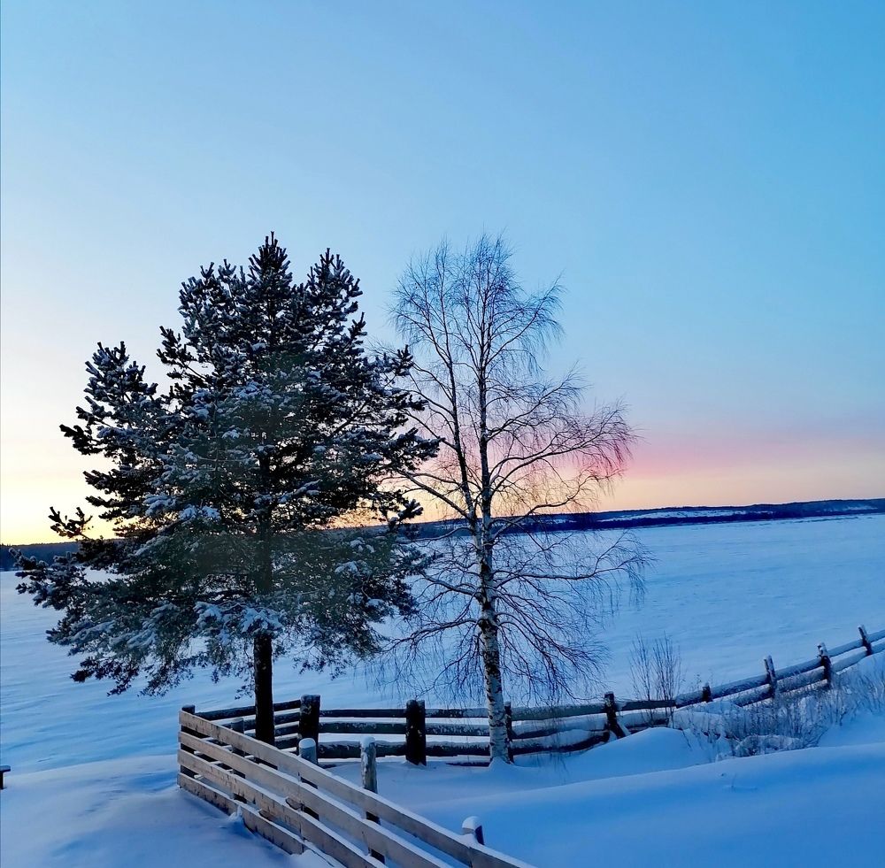 Photograph by Татьяна Бешенкина