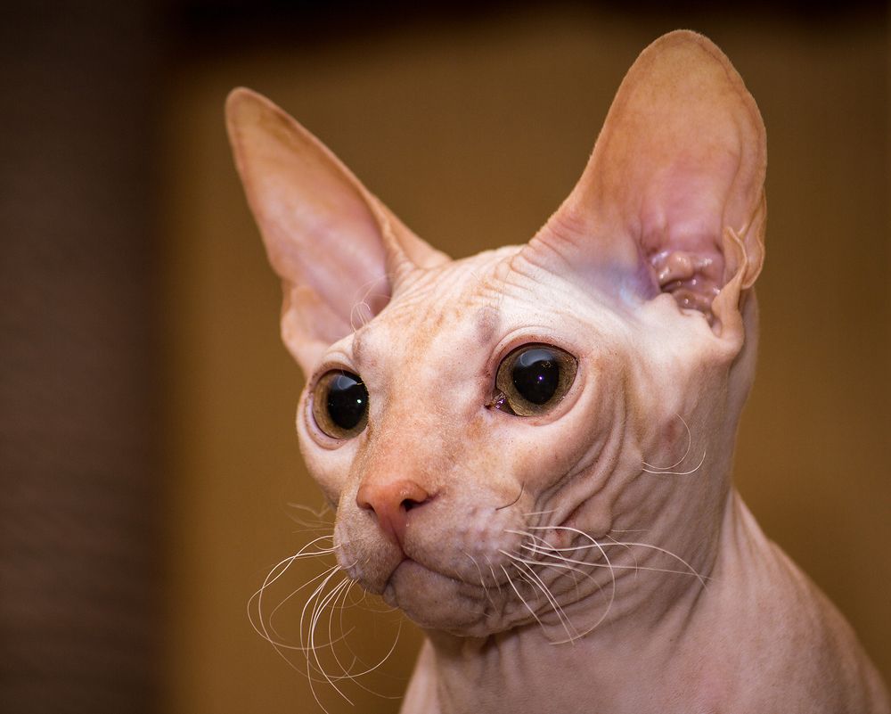 Фотография автора Борис Журавлёв