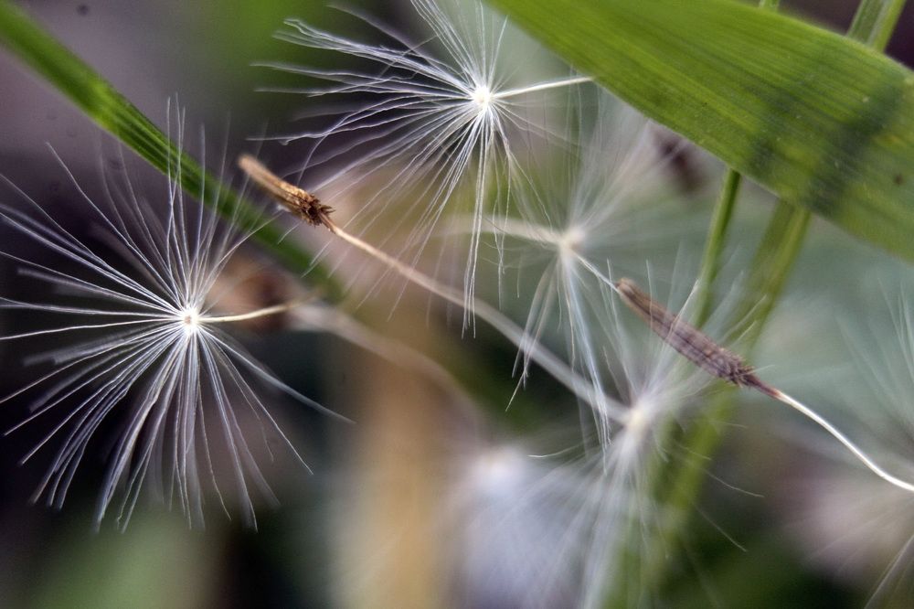 Photograph by Татьяна Фоевцева