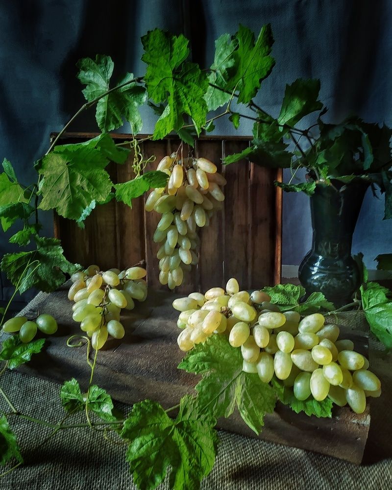 Photograph by Irina Grass