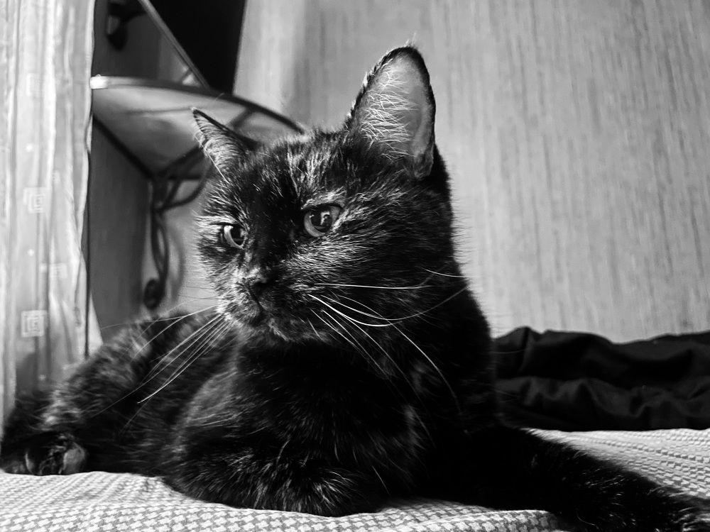 Photograph by Галина Шарапова