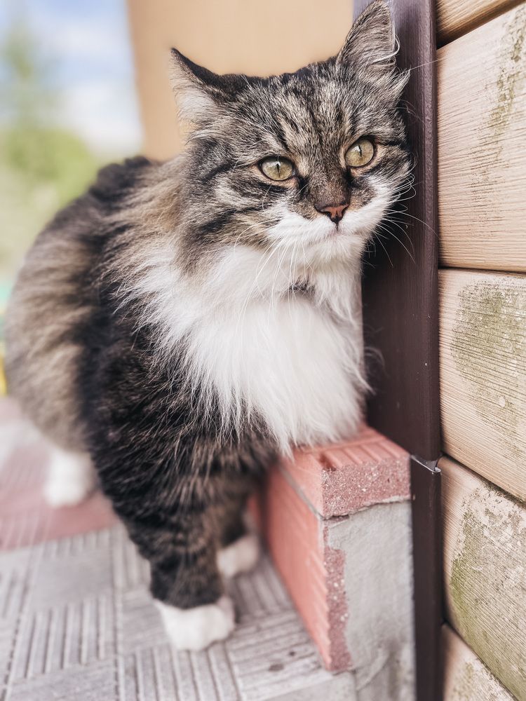 Photograph by Галина Шарапова