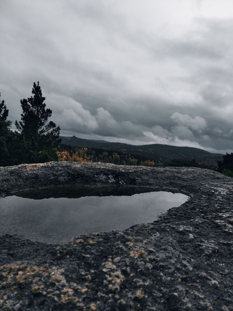 Photo #8830045