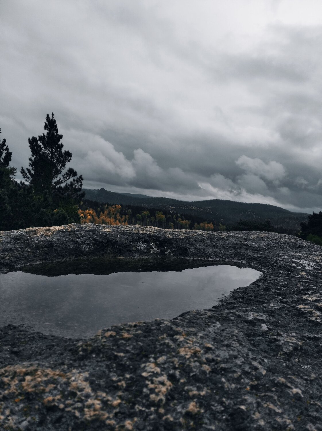 Photo #8830045