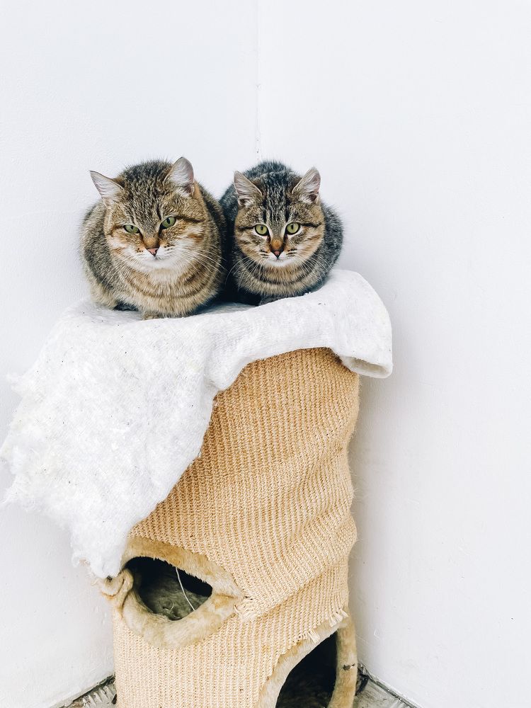 Photograph by Галина Шарапова