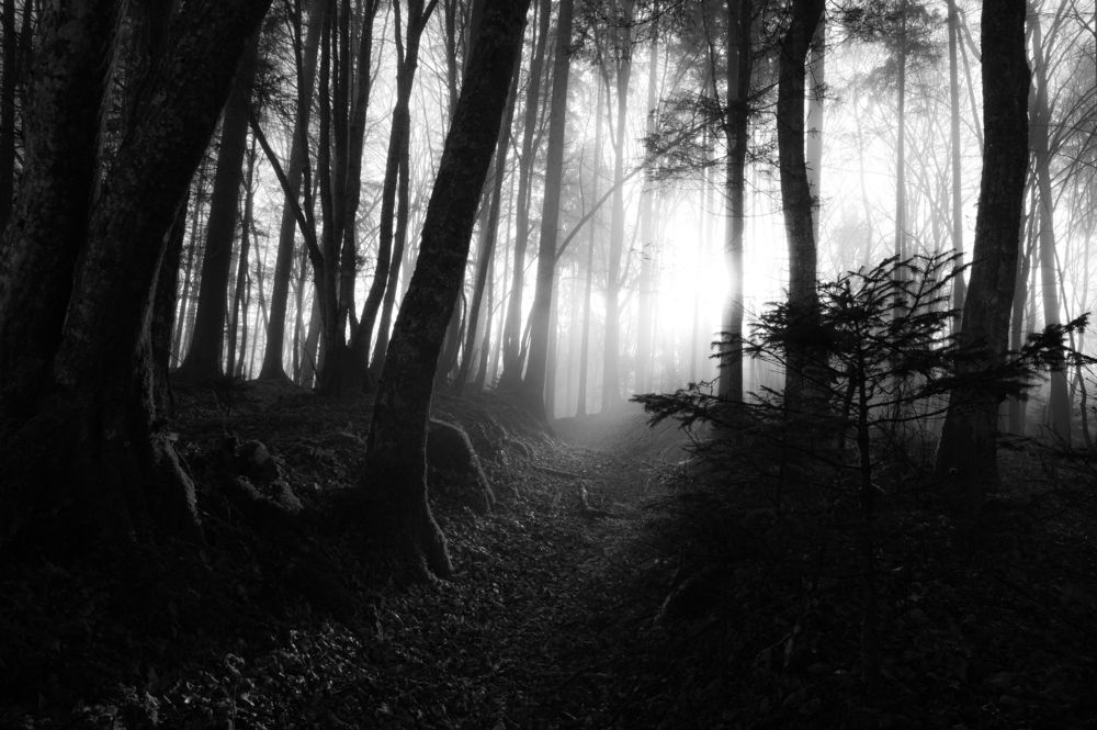 Photograph by Uroš Novina