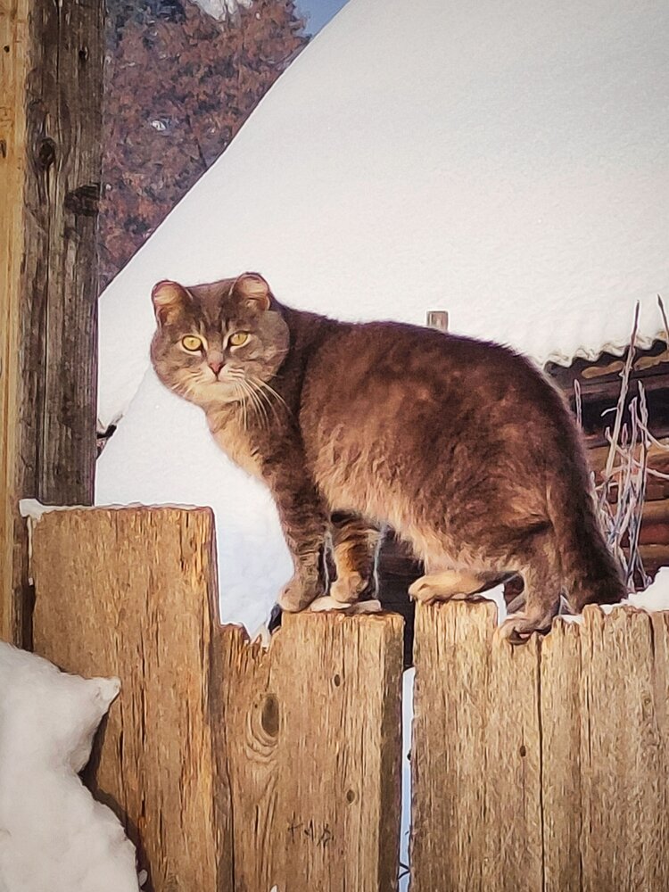Photograph by Александр Кокурин