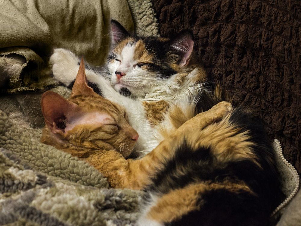 Фотография автора Борис Журавлёв