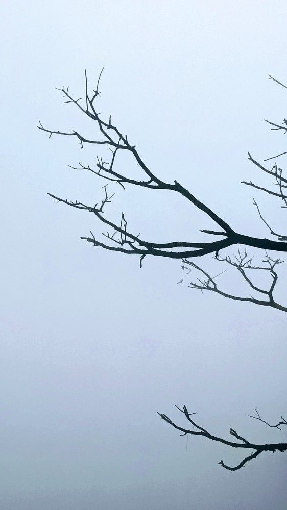 The fall