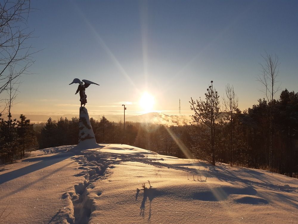 Photo #8830192