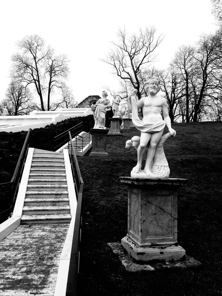 Photograph by Ольга