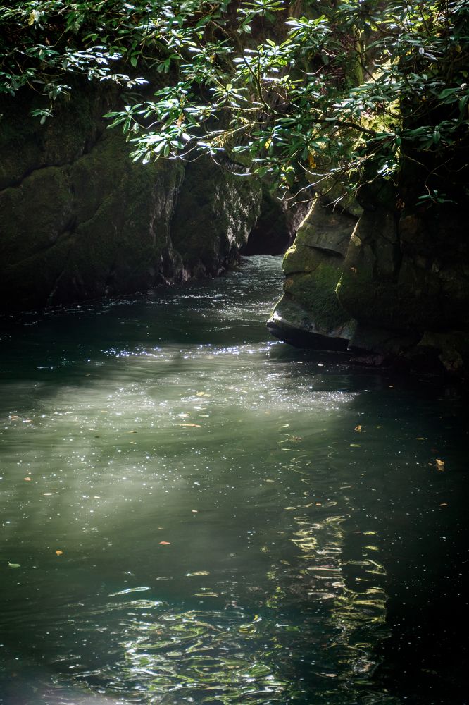 Photograph by Юлия Подлеснова