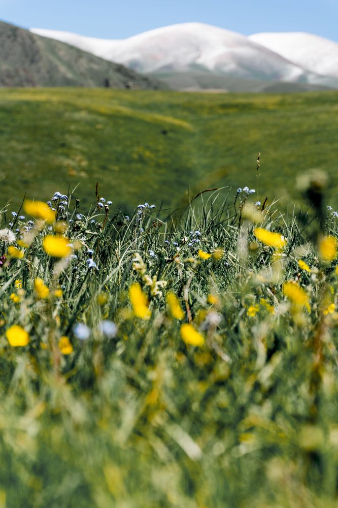 Photograph by Юлия Подлеснова