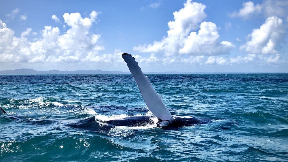 Photograph by Ольга