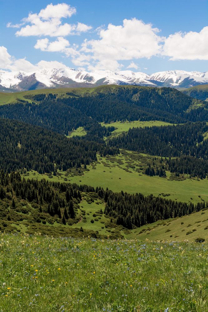 Photograph by Юлия Подлеснова