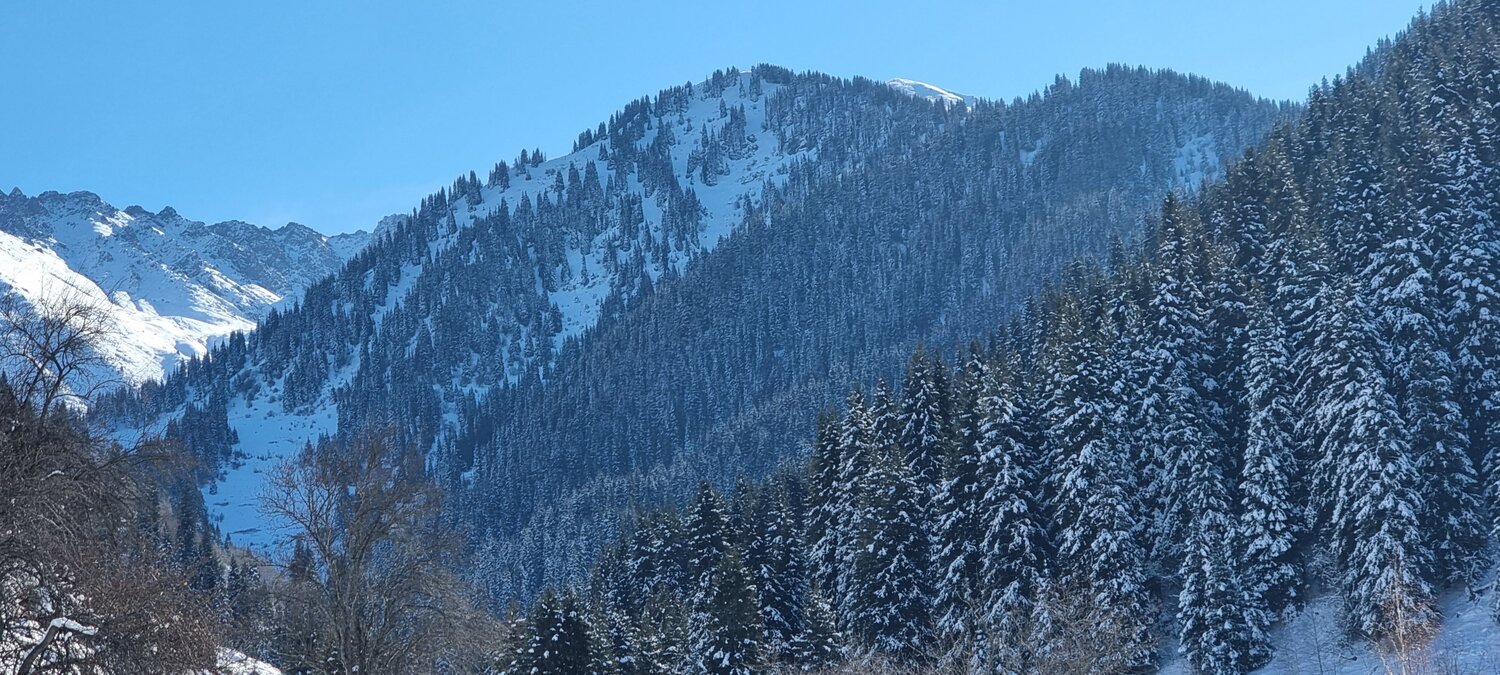 Photo #8830254