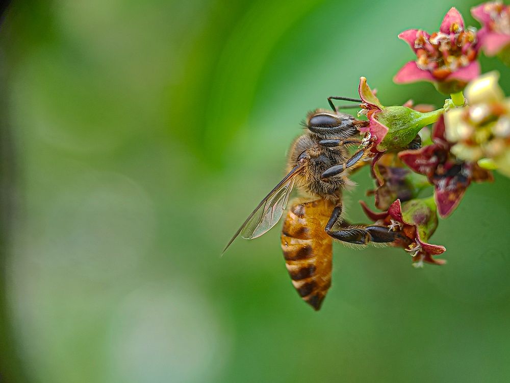 Photograph by Susmita Ghosh
