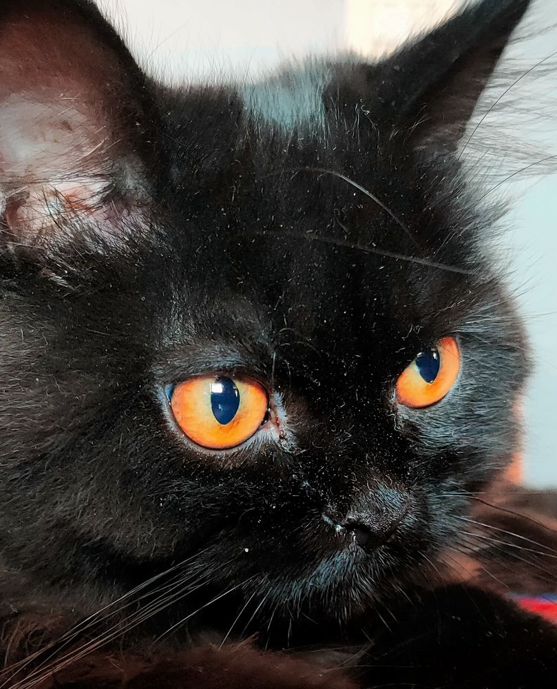 Photograph by OMAR Mourtagy Helal