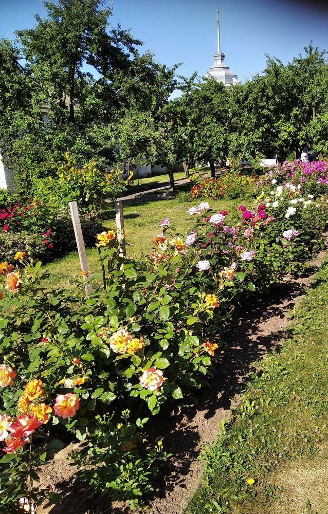 Photograph by Анна Виноградова