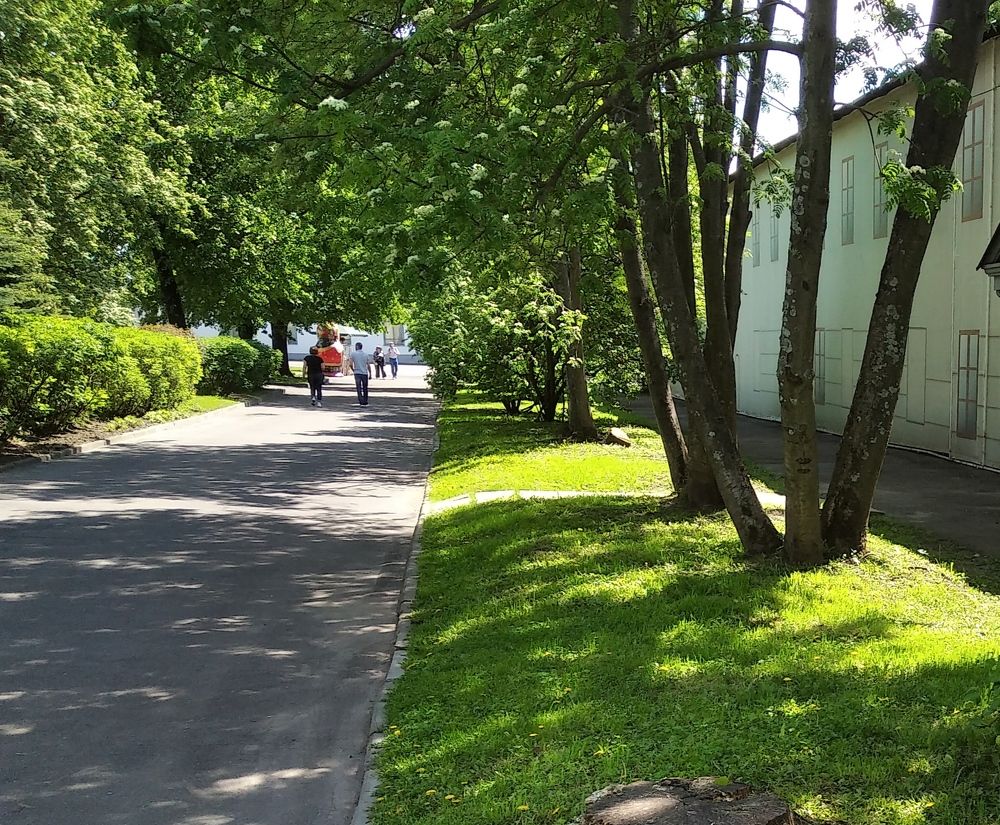 Photograph by Анна Виноградова