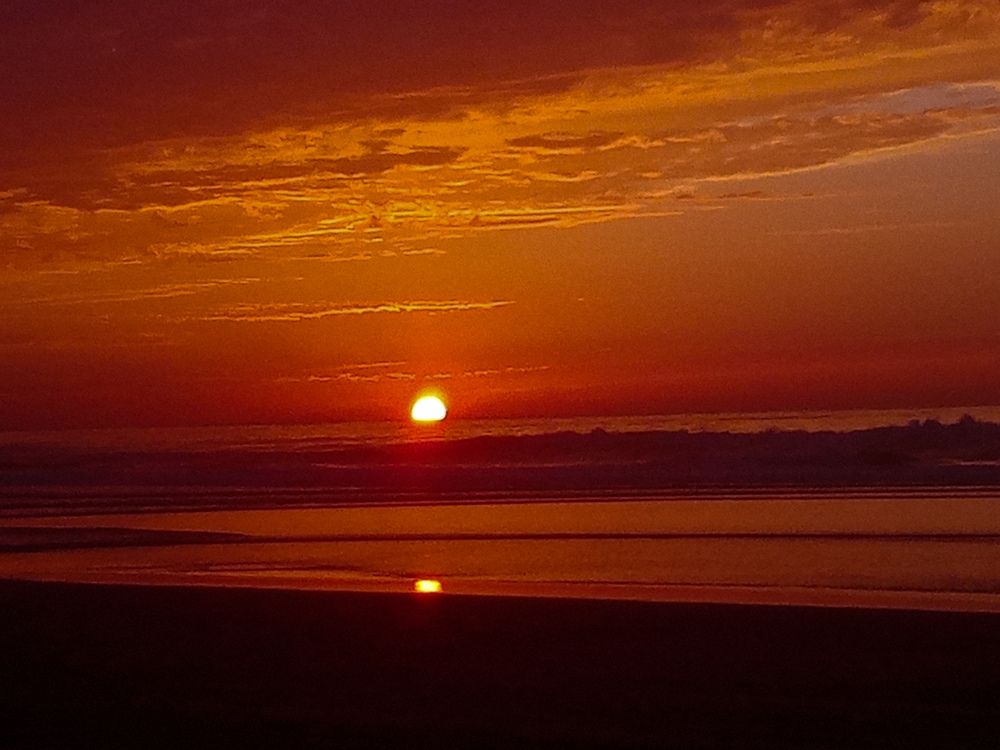 Photo #8830404