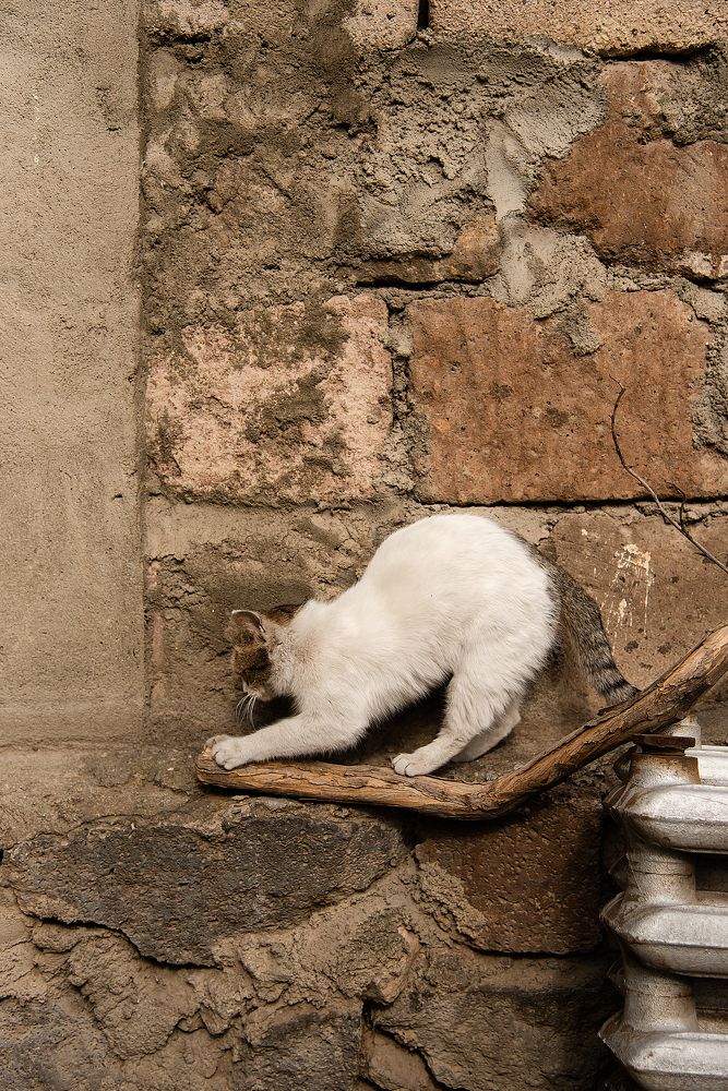 Photograph by Xenia Suvorova