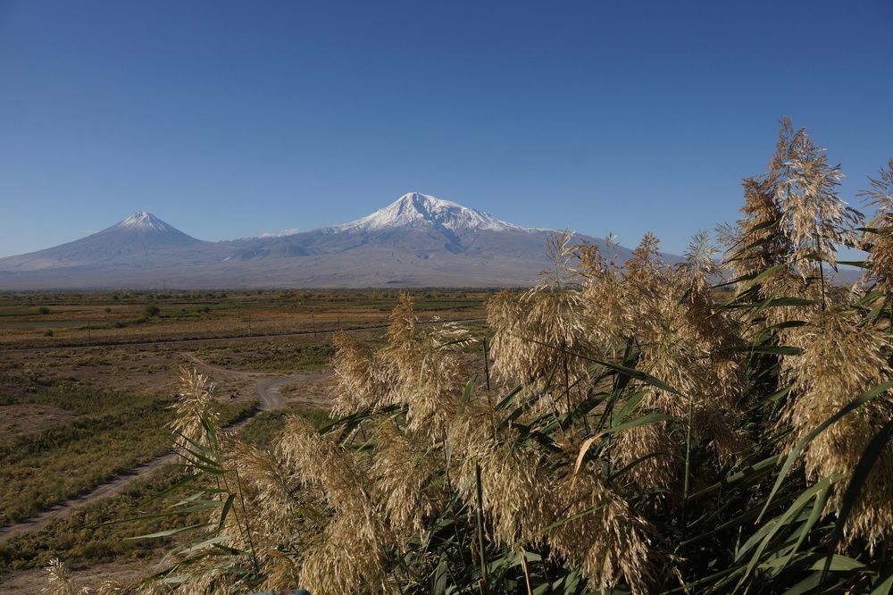 Photograph by Игорь Кравцов