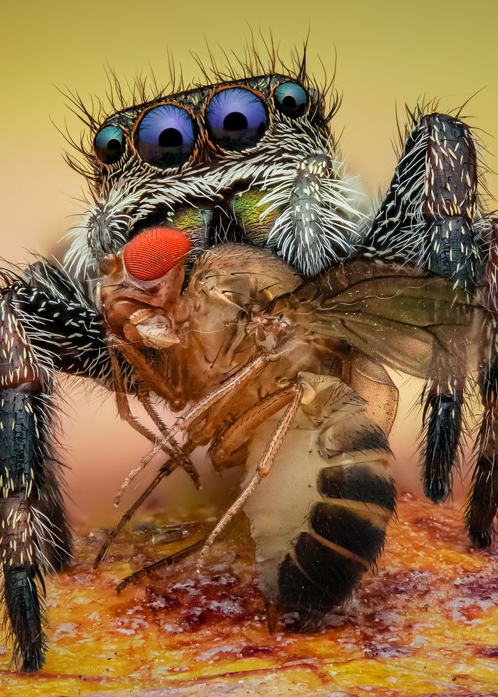 Photograph by Tran The Ngoc