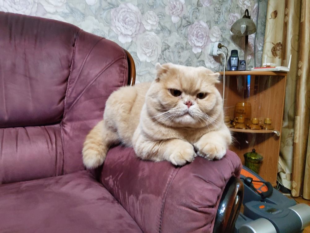 Фотография автора Южный Взгляд