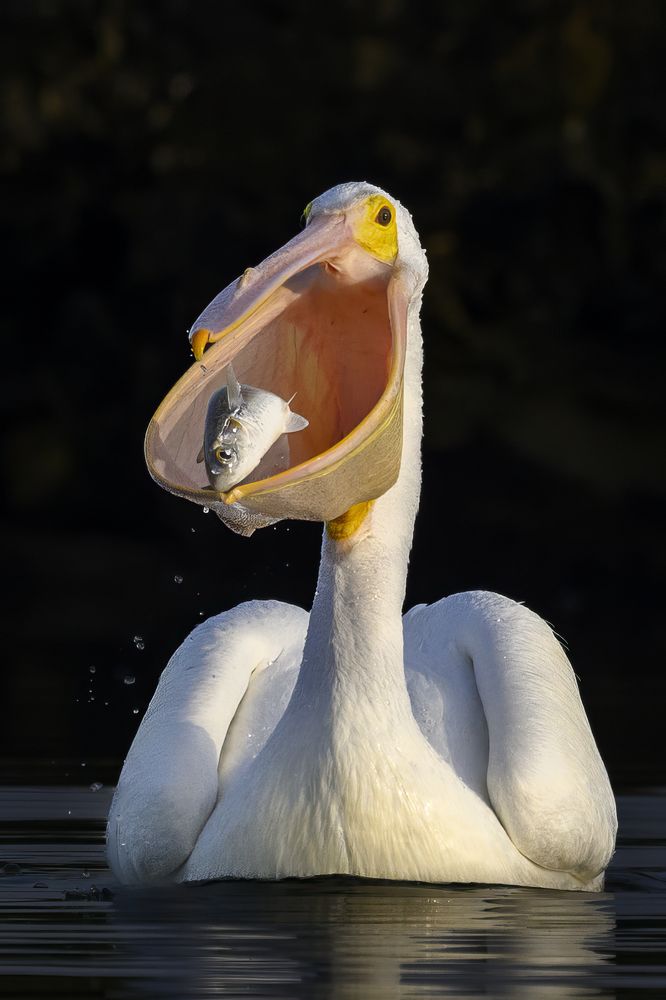 Photograph by Nancy Koch